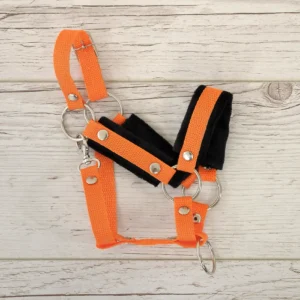 Alternative view of Fellhalfter A3 | Orange mit schwarzem Fell