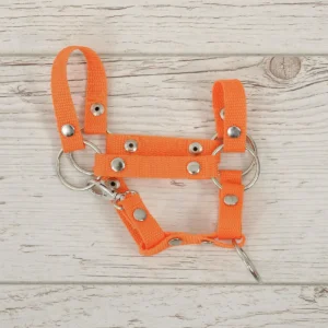 Alternative view of Halfter A4 & A5 | Orange