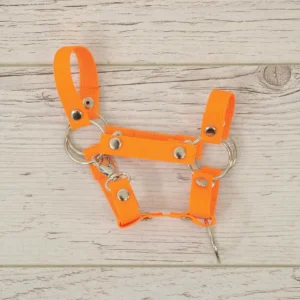 Alternative view of Halfter A4 & A5 | Neonorange