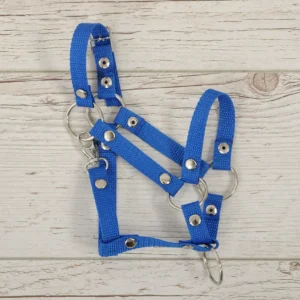 Alternative view of Halfter A3 | Blau