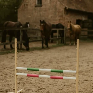 Alternative view of Set Springhindernis | 2x Stange | Breite 120 cm | Grün und Pink