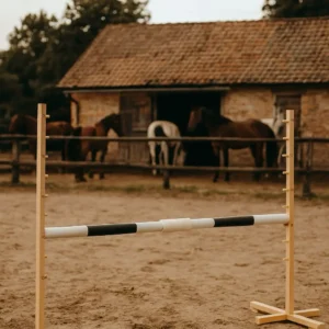 Alternative view of Set Springhindernis | 1x Stange | Breite 160 cm | Schwarz