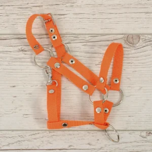 Alternative view of Halfter A3 | Orange