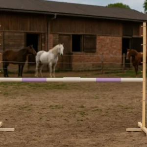 Alternative view of Set Springhindernis | 1x Stange | Breite 160 cm | Lila