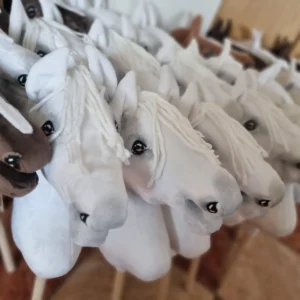 Steckenpferde - Hobby Horsing